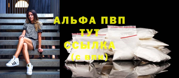mdpv Бородино