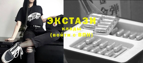 spice Богородицк