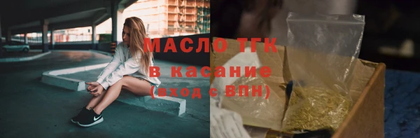 spice Богородицк