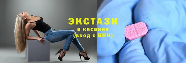 spice Богородицк