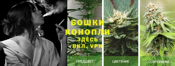 прущие крисы Богородск