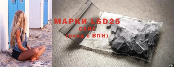 spice Богородицк