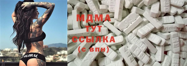 spice Богородицк